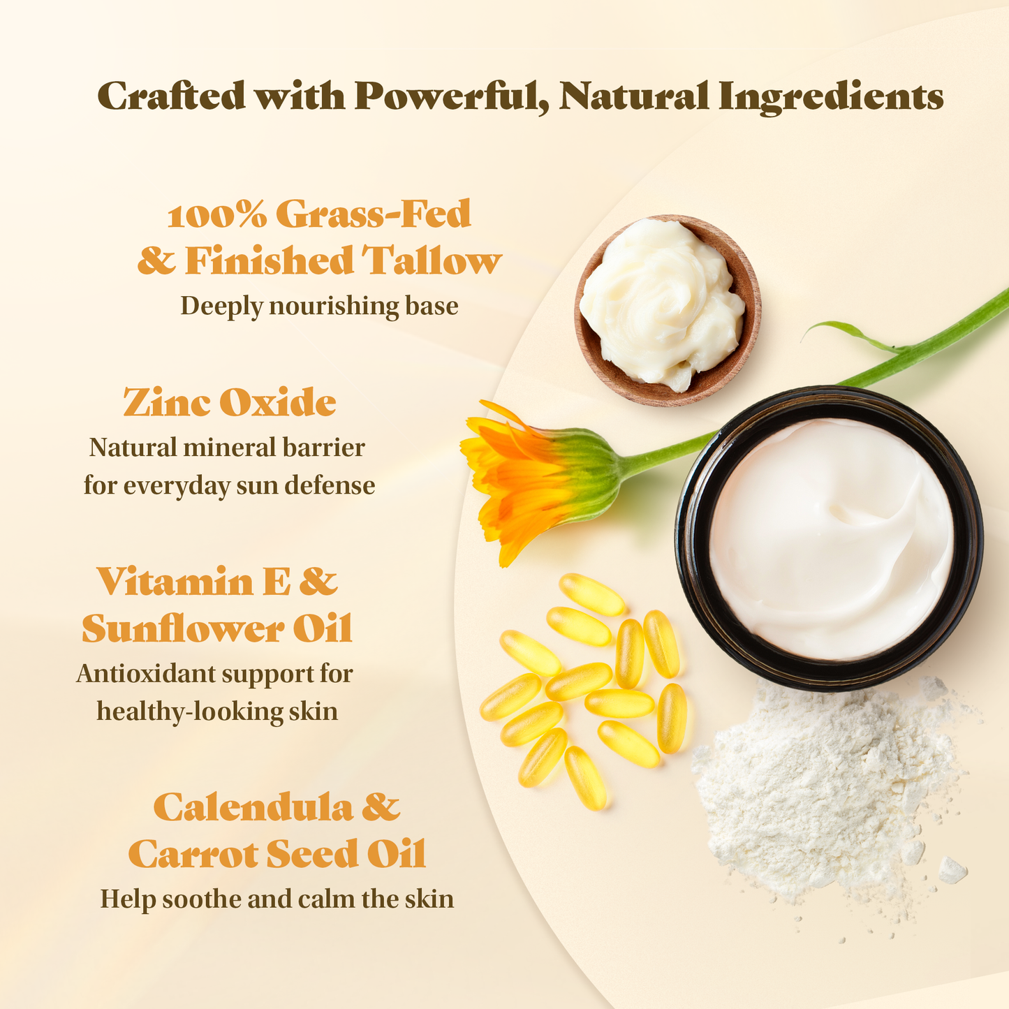 Sunroot Sun Balm ingredient infographic featuring grass-fed tallow, zinc oxide, vitamin E, sunflower oil, calendula, and carrot seed oil.